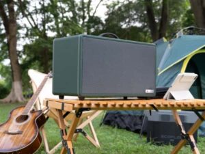 Outdoor Speakers
